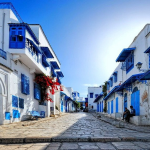 Sidi Bou Saïd : Le charme bleu et blanc de la Tunisie